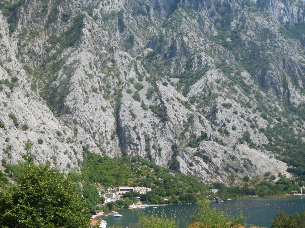 Villa Aronija Kotor Exterior foto